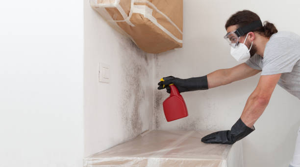 Professional Crawl Space Mold Removal technician working in Dallas, OR
